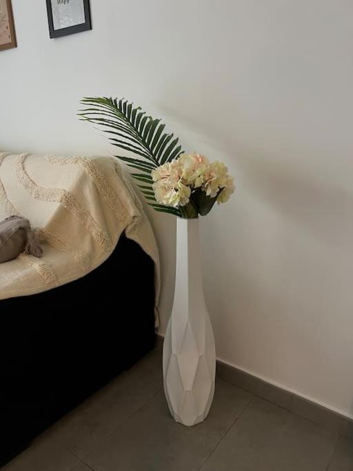 Piso Con Terraza A 5 Min Del Mar Daire Alcanar Dış mekan fotoğraf